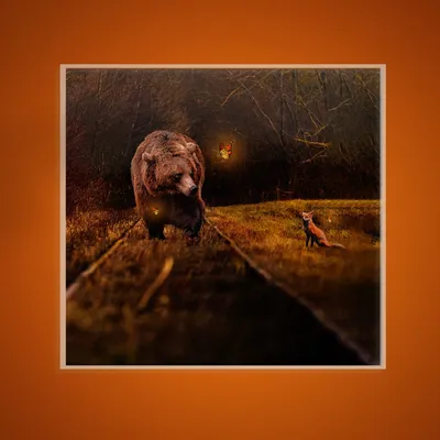 Illustration 'Bear and fox'