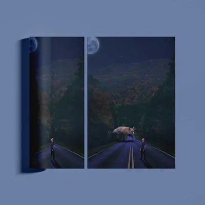 Illustration renard Nuit