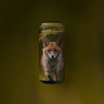 Illustration 'Vulpes Vulpes'