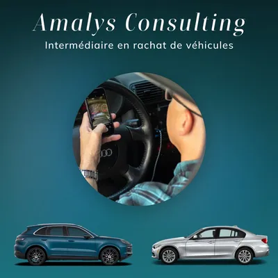 Amalys Auto Consulting